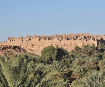 Meski oasis in Morocco